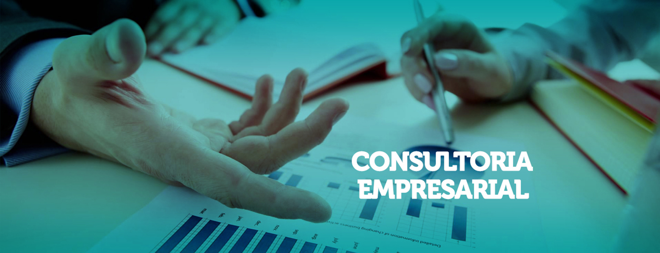 Consultoria Empresarial